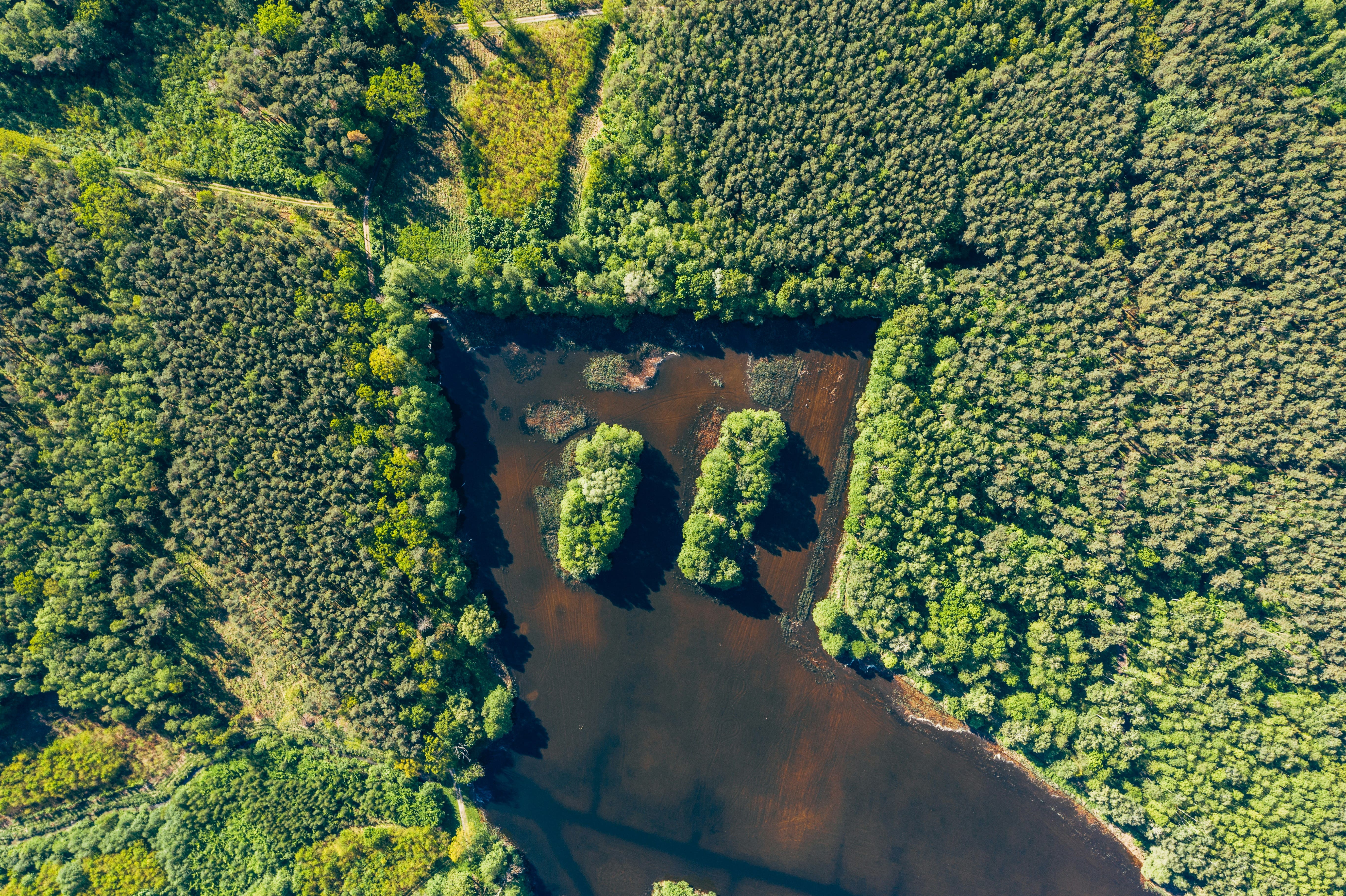 Áreas Protegidas y Conservación